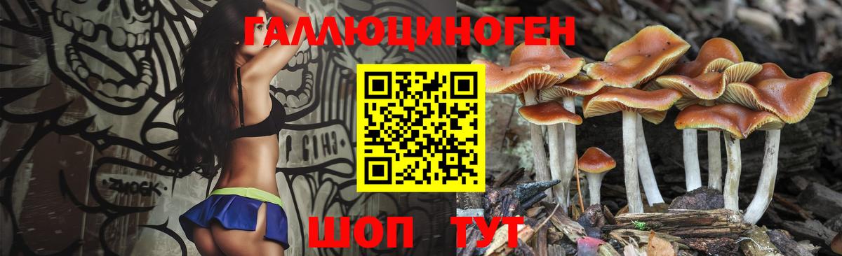 Псилоцибиновые грибы MAGIC MUSHROOMS Алейск