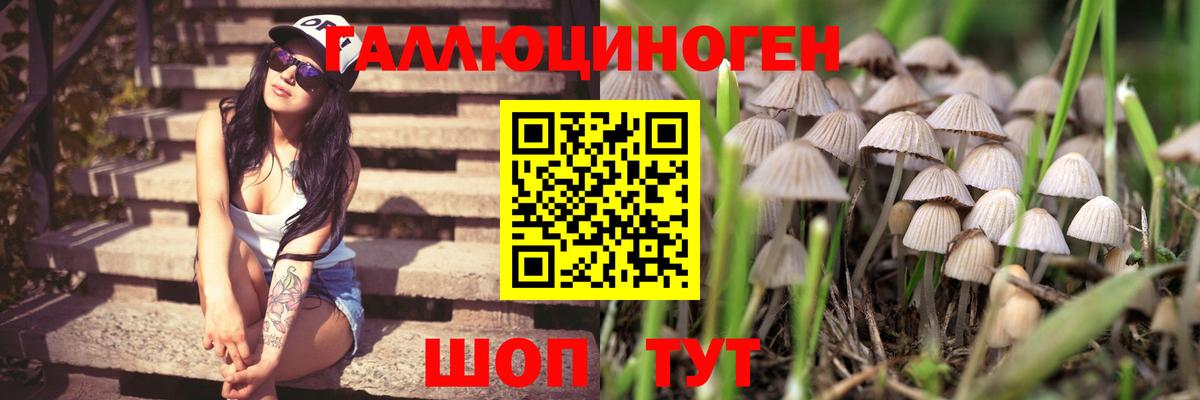 Псилоцибиновые грибы мухоморы  Вход с VPN  Алейск 